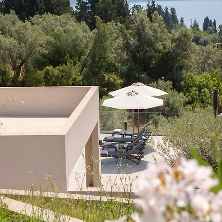 Bitter Almond Trees * Nikiana